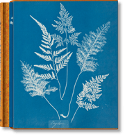 Anna Atkins. Cyanotypes