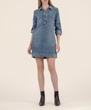 Anika Denim Dress
