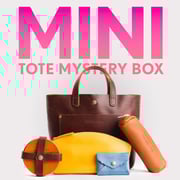 Mini Crossbody Mystery Box