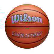 Evolution Game Basketball