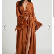 Show po rust shimmer dress