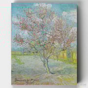 Peach Tree