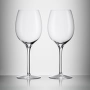 Pinot Grigio Wine Glass, 16.5oz, Set of 2