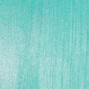 Professional Gloss Varnish Spray