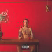 Mac Miller - Watching Movies With The Sound Off (2xLP - Brown Vinyl, Cassette)