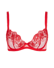 Astria Plunge Underwired Bra