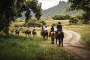 夏威夷歐胡島 | 古蘭尼牧場騎馬體驗 | Kualoa Ranch Horseback Tour