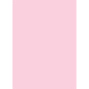 X-Drop Canvas Backdrop – Pink Solid Color (5' x 7')