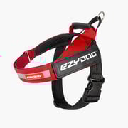 Express™ Dog Harness