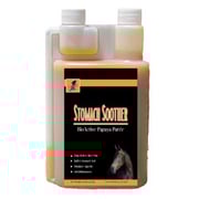 CeraSoothe CHX Antiseptic Shampoo 4% for Dogs, Cats & Horses