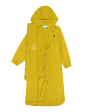 The Rain Trench. -- Sunshine
