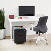 Mini Stow 2-Drawer File Cabinet, Rolling