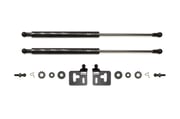 GReddy Carbon Fiber Hood Damper for 05-07 WRX/STi (18560101)