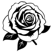 Single Rose