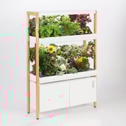The Rise Garden