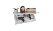 In-Plain-Sight - Shelf