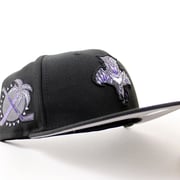 Florida Panthers Palm Tree Patch New Era 59Fifty Fitted Hat (Black Gray Under brim)