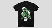 Monstera Deliciosa Leaf Plant Botany Gardening Nature