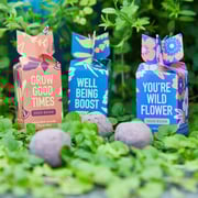 Seed Bomb