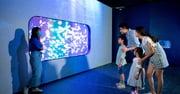 Hong Kong Cube O Discovery Park Ticket - Klook Hong Kong