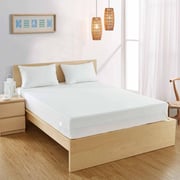 BedBug Solution® Basic Zippered Mattress Encasement
