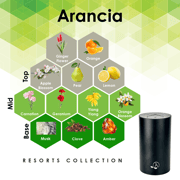 Arancia - Venetian (2015 and after)
