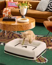 Classic Monogram Ivory Woven Pet Bed, Small by Jonathan Adler | Ruggable