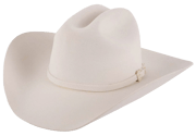 Stetson 3X Oakridge Felt Cowboy Hat - White