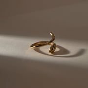 The  Bronze Stoned Serpent Ring