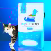 1 Bag of Clumping PrettyLitter