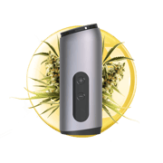AUXO Celsius | Dual-Use Smart Vaporizer