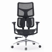 Sihoo Doro S100 Ergonomic Office Chair with Dual Dynamic Lumbar Support & Enlarged Seat Cushion