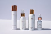 The Wild Rose Daily Routine