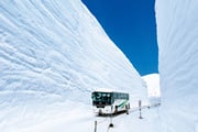 [Summer and Autumn Only] 2-Day Alpine Trip | Tateyama Kurobe and Kamikochi, 6 Transportation Options, Departing from Nagoya