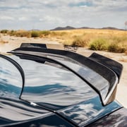 Cadillac CTS V (GEN 3) 16-19 Wicker Bill