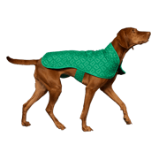 Dog Jacket Park Green