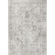 Distressed Vintage Chilaz in Grey Rug