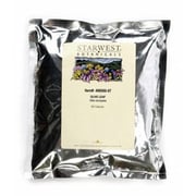 Olive Leaf Capsules