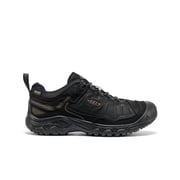 Men's Targhee IV Waterproof Hiking Shoe  |  Bison/Black