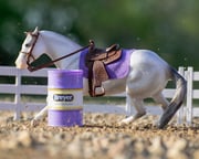 Barrel Racing Set