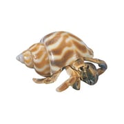 "Land Hermit Crab, Fancy, Living, Pack of 3"