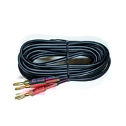 Upgraded Speaker Wire