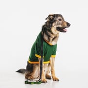 NDSU Bison Pet Jersey