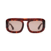 Aries in Red Tortoise
