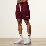 Vanquish Bodybuilding Oxblood Mesh Shorts