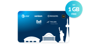 Cygnus Lifetime Prepaid Data eSIM