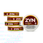 ZYN Nicotine Pouch Case