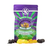 Pangea Gecko Diet with Fig & Insects™