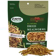 Dried Mealworm Treat 1.41 oz.