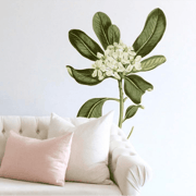 Glossy Leaved Pittosporum Wall Decal